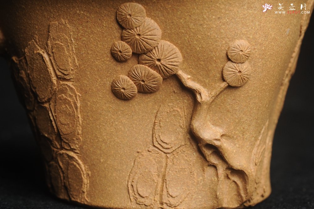 紫砂壶图片：美杯特惠 精致全手工松桩杯 - 紫砂壶信息网