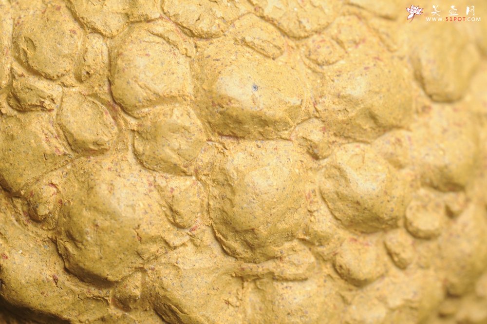 紫砂壶图片：美壶特惠 全手工黄段供春壶 肌理有老树瘿的感觉 灰常赞 - 紫砂壶信息网