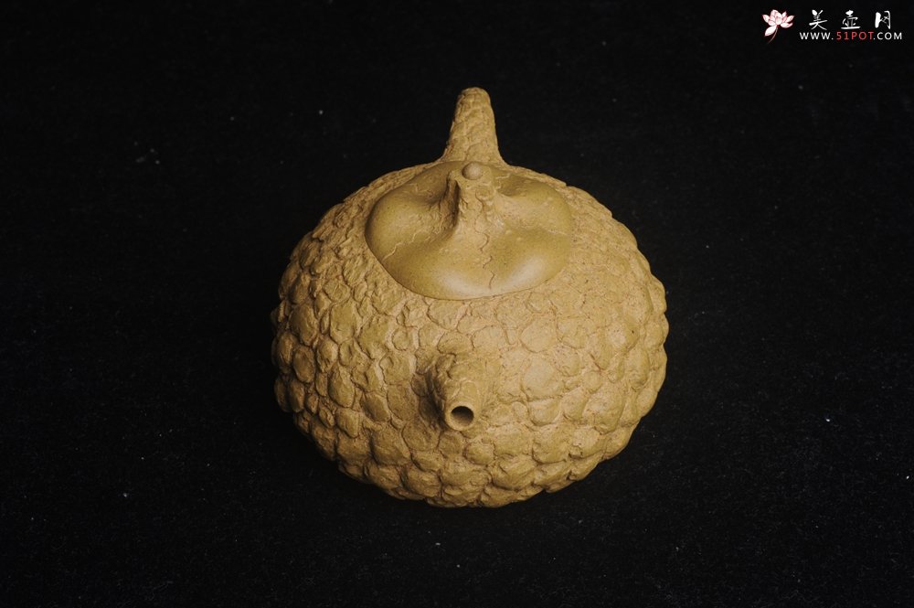 紫砂壶图片：美壶特惠 全手工黄段供春壶 肌理有老树瘿的感觉 灰常赞 - 紫砂壶信息网