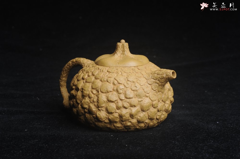 紫砂壶图片：美壶特惠 全手工黄段供春壶 肌理有老树瘿的感觉 灰常赞 - 紫砂壶信息网