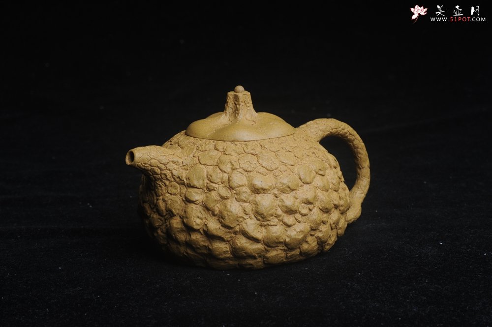 紫砂壶图片：美壶特惠 全手工黄段供春壶 肌理有老树瘿的感觉 灰常赞 - 紫砂壶信息网