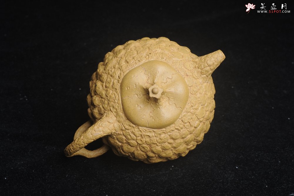 紫砂壶图片：美壶特惠 全手工黄段供春壶 肌理有老树瘿的感觉 灰常赞 - 紫砂壶信息网