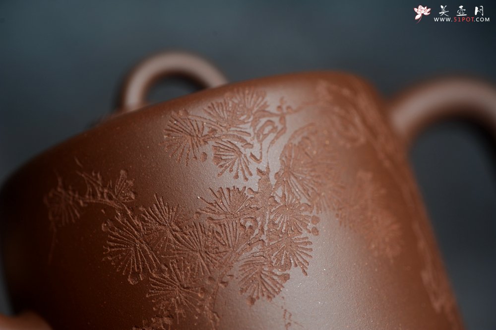 紫砂壶图片：美壶特惠 潜力股王静然 优质文革紫泥双圈壶 君子风 装饰文雅 - 紫砂壶信息网