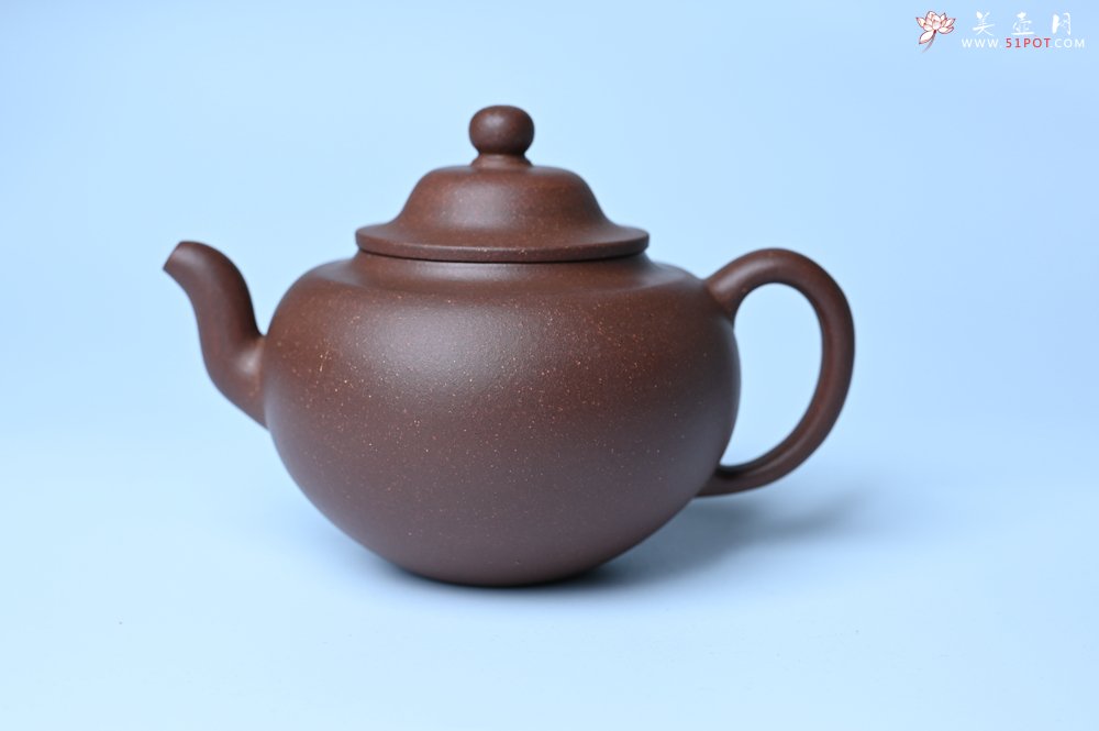 紫砂壶图片：美壶特惠 特好紫泥玉笠壶 茶人醉爱 - 紫砂壶信息网