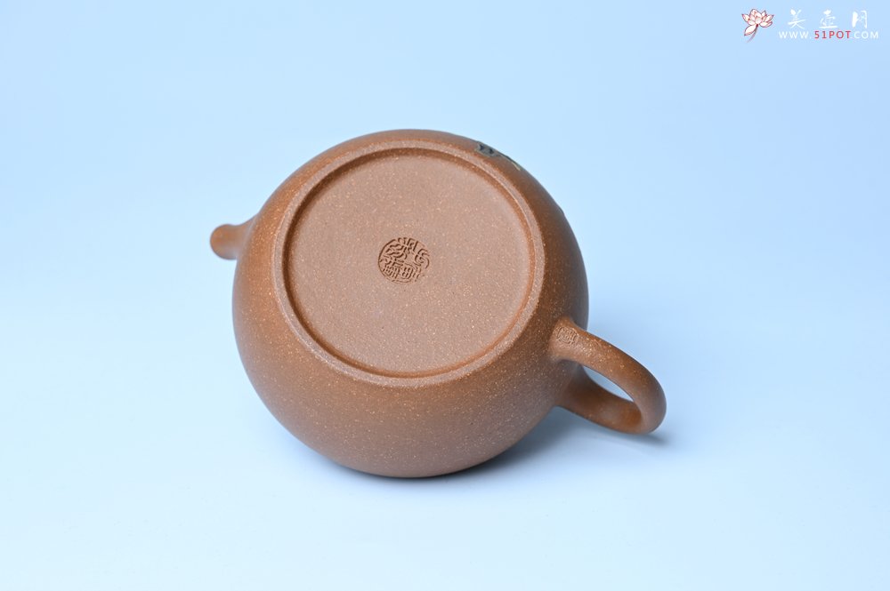 紫砂壶图片：美壶特惠 优质降坡泥花鸟听兔壶 茶人醉爱 - 紫砂壶信息网