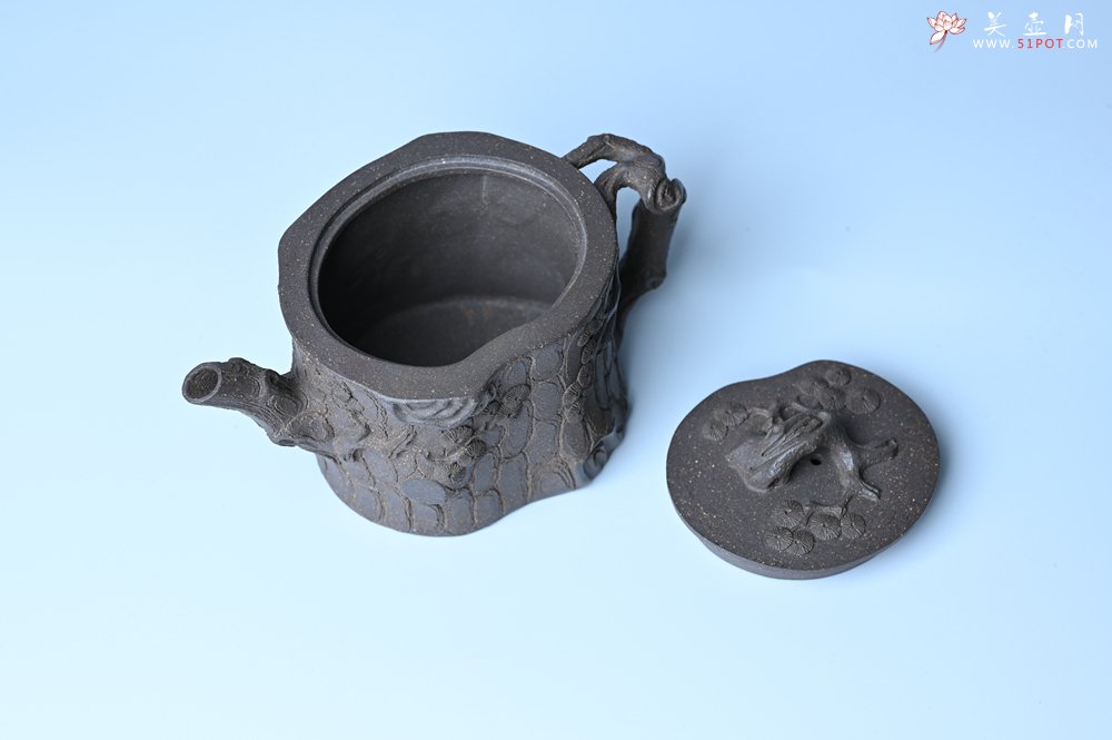 紫砂壶图片：美壶特惠 精致青段泥全松皮 全手工松桩壶 肌理丰富 特文气 - 紫砂壶信息网