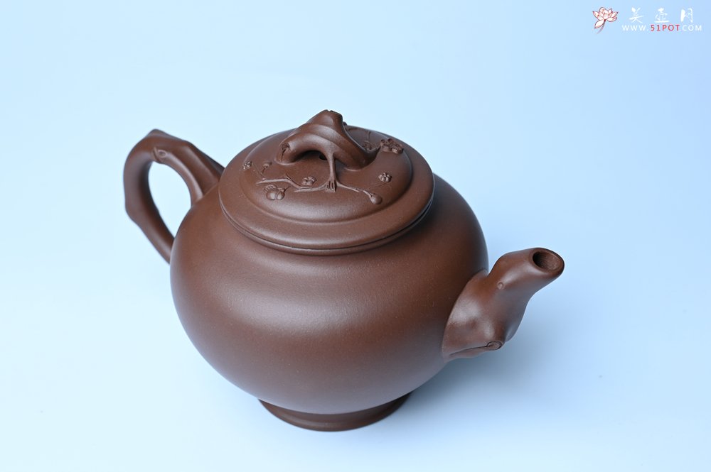 紫砂壶图片：美壶特惠 精致报春系列之梅花报春壶 - 紫砂壶信息网