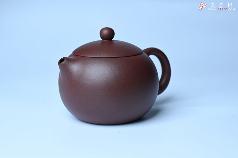 紫砂壶图片：美壶福利特惠 精工西施 泥料优秀 - 紫砂壶信息网