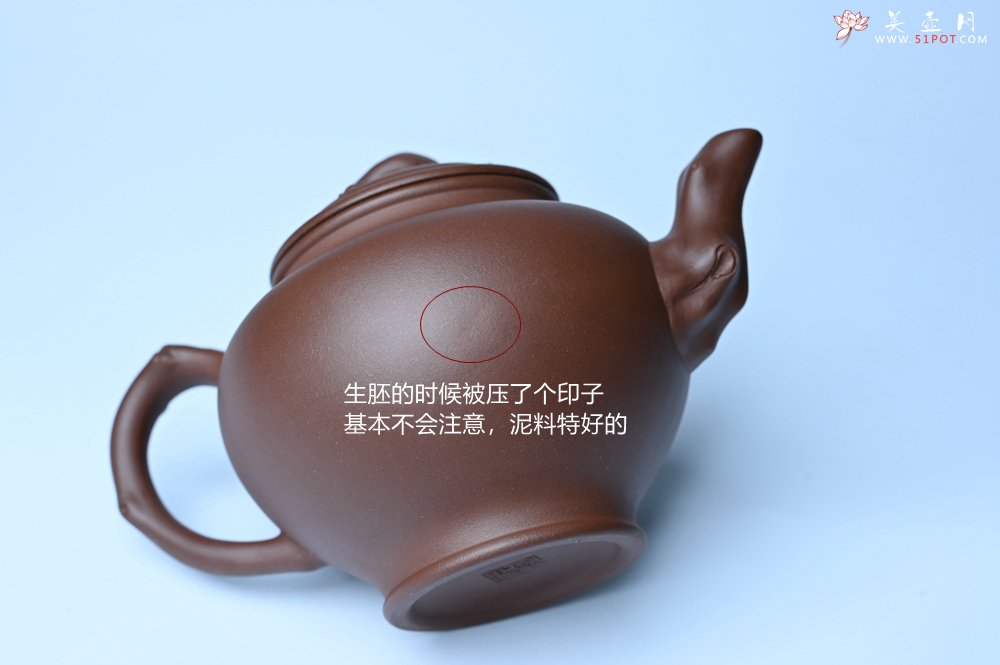 紫砂壶图片：美壶特惠 精致报春系列之梅花报春壶 - 紫砂壶信息网