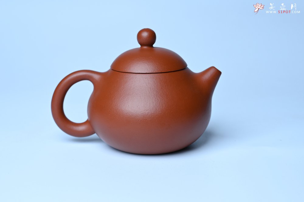 紫砂壶图片：美壶特惠定制最新实用力作 优质精致朱泥文旦壶 养后特润 - 紫砂壶信息网