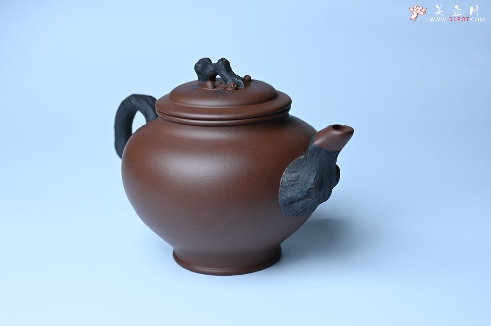 紫砂壶图片：美壶特惠 精致报春系列之松报春壶 - 紫砂壶信息网