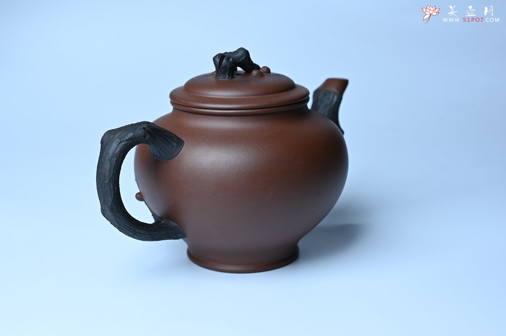 紫砂壶图片：美壶特惠 精致报春系列之松报春壶 - 紫砂壶信息网