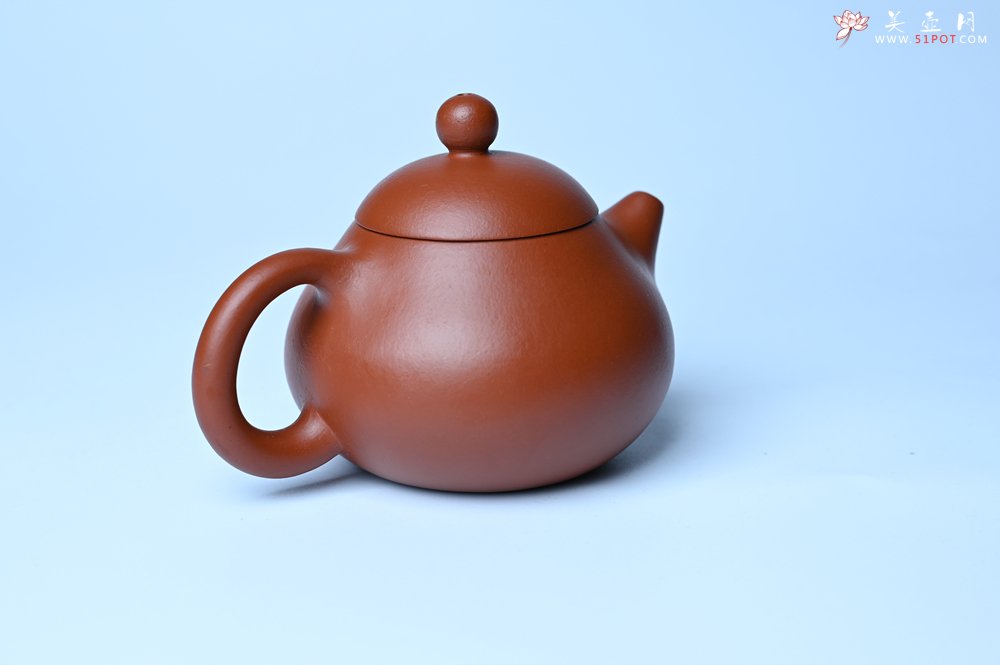 紫砂壶图片：美壶特惠定制最新实用力作 优质精致朱泥文旦壶 养后特润 - 紫砂壶信息网