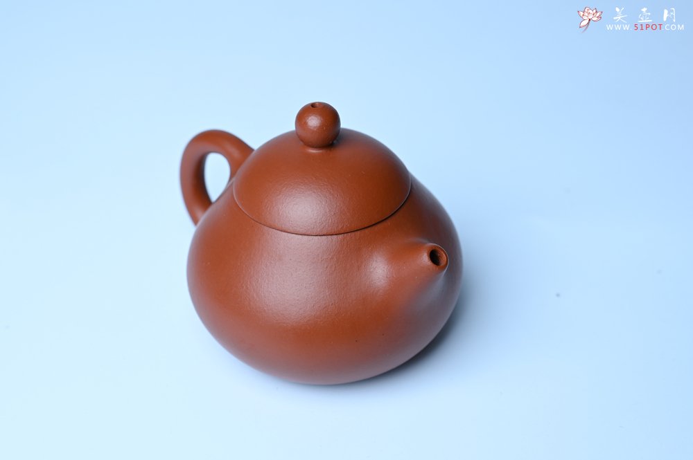紫砂壶图片：美壶特惠定制最新实用力作 优质精致朱泥文旦壶 养后特润 - 紫砂壶信息网