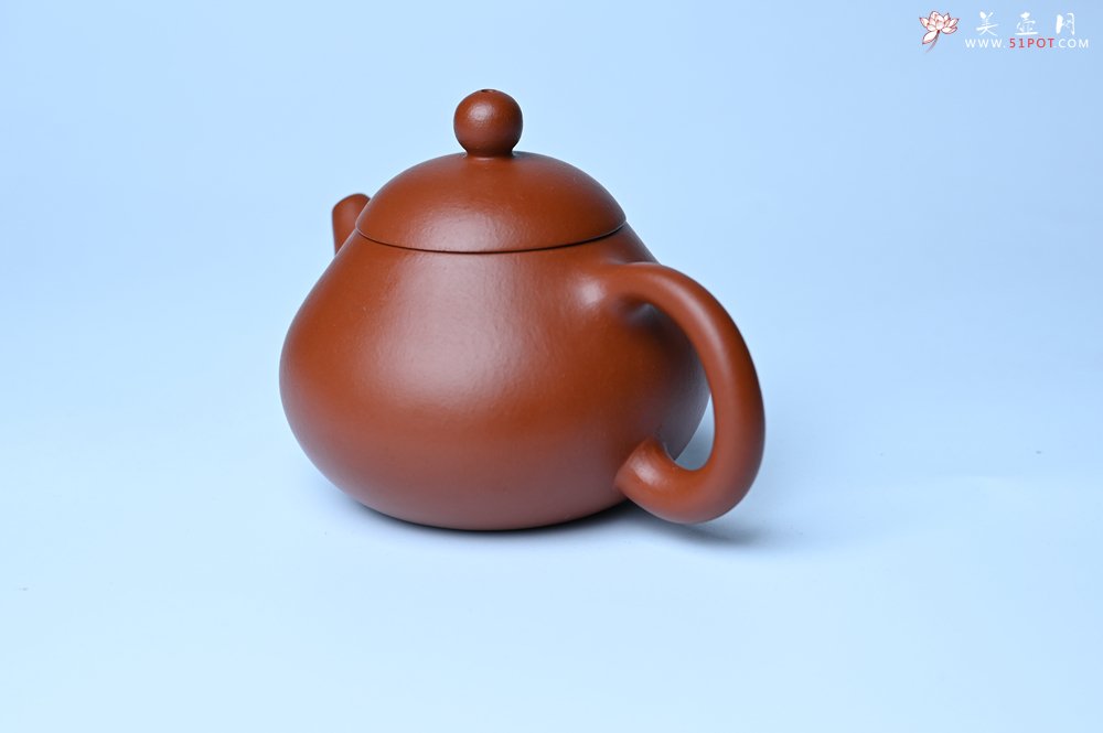 紫砂壶图片：美壶特惠定制最新实用力作 优质精致朱泥文旦壶 养后特润 - 紫砂壶信息网