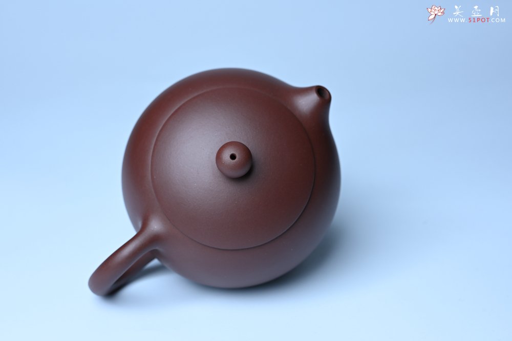 紫砂壶图片：美壶福利特惠 精工西施 泥料优秀 - 紫砂壶信息网