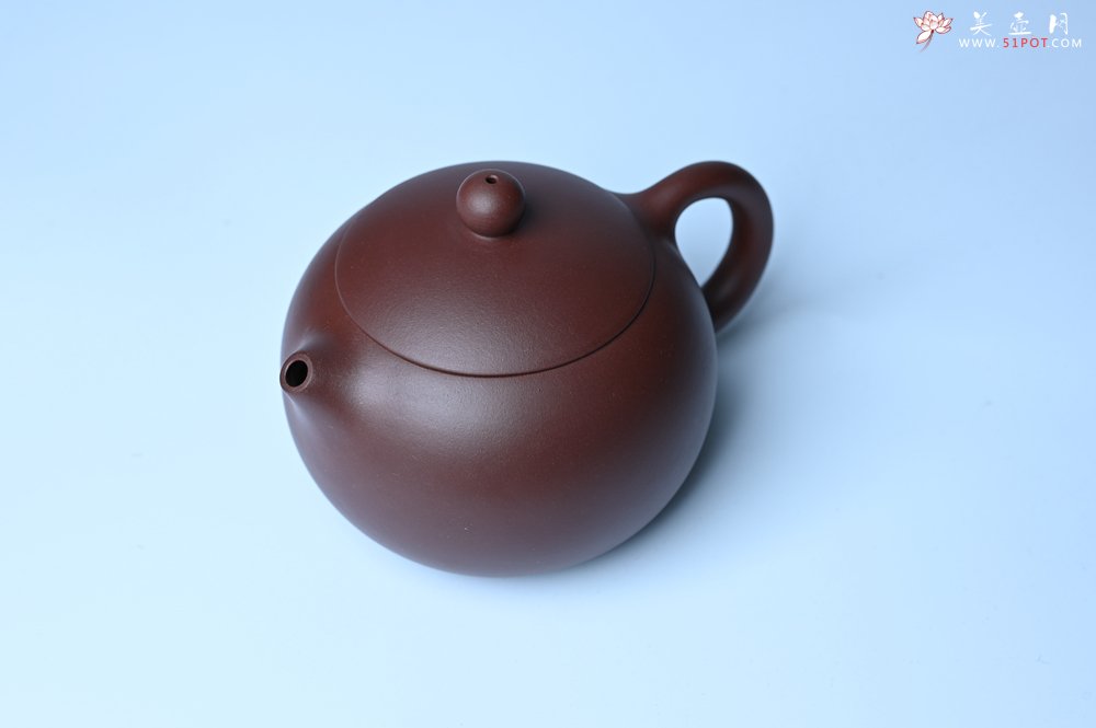 紫砂壶图片：美壶福利特惠 精工西施 泥料优秀 - 紫砂壶信息网