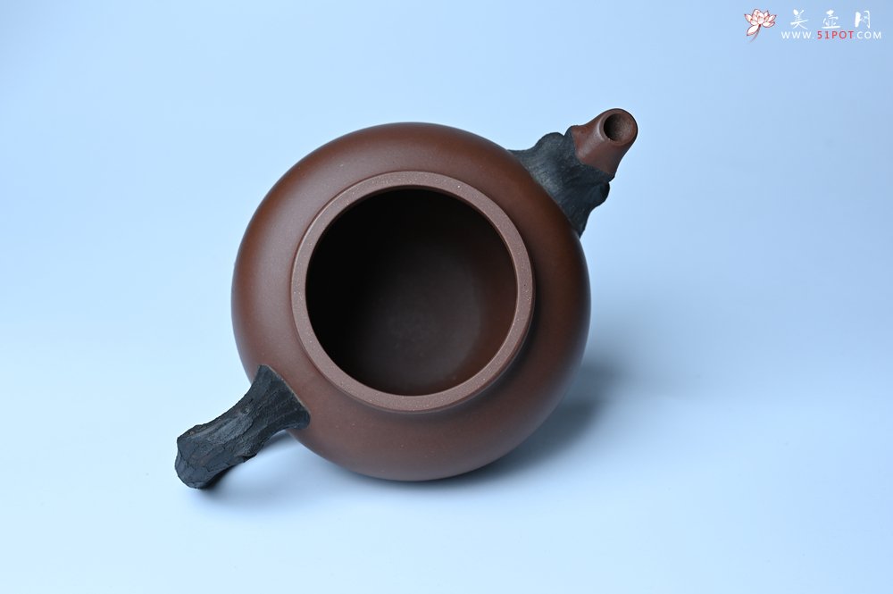 紫砂壶图片：美壶特惠 精致报春系列之松报春壶 - 紫砂壶信息网