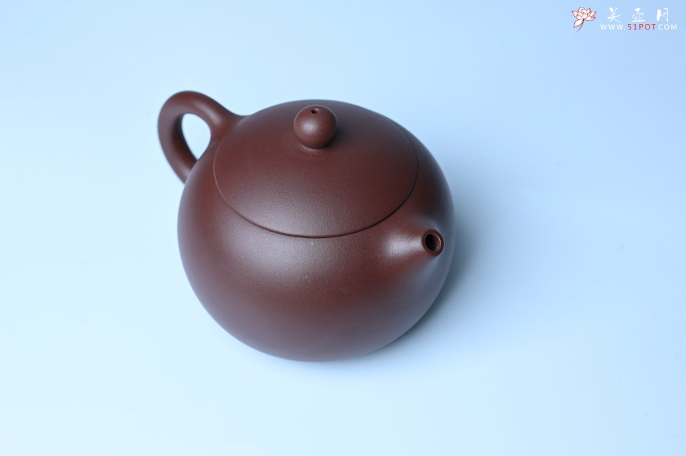 紫砂壶图片：美壶福利特惠 精工西施 泥料优秀 - 紫砂壶信息网