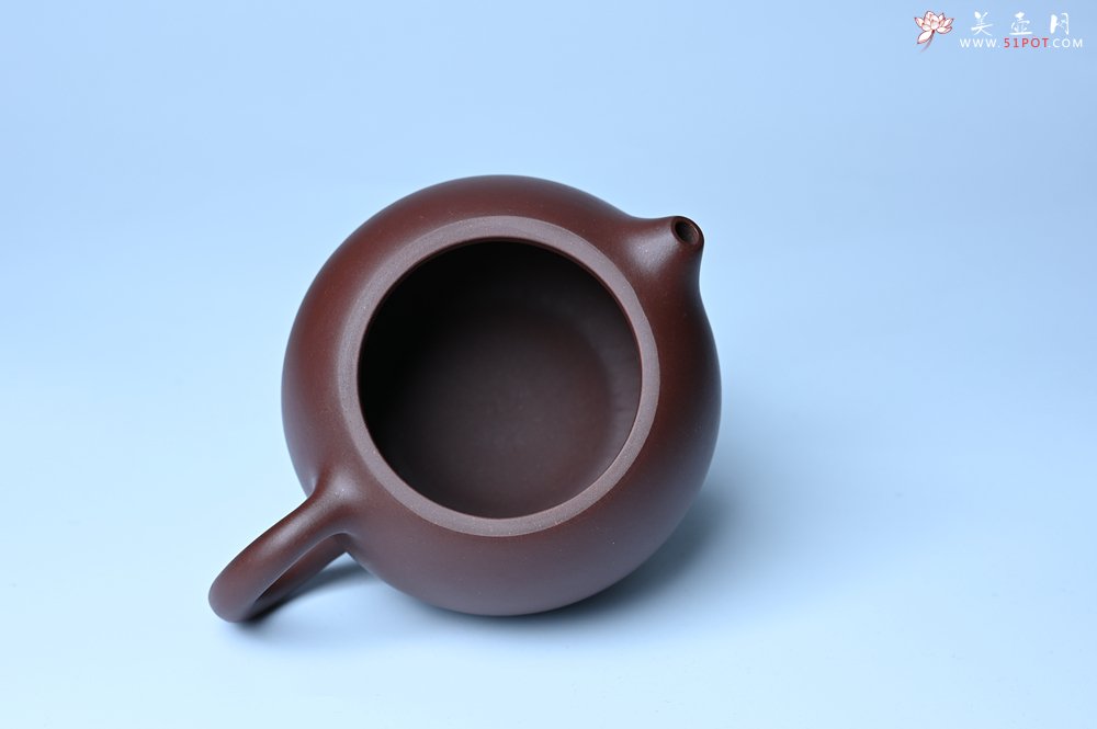 紫砂壶图片：美壶福利特惠 精工西施 泥料优秀 - 紫砂壶信息网