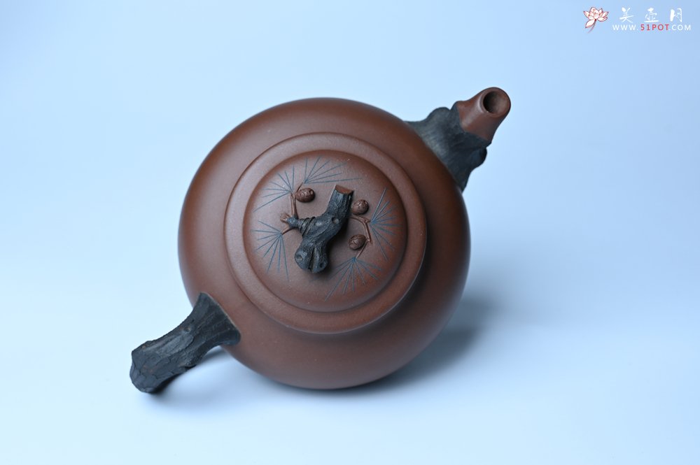 紫砂壶图片：美壶特惠 精致报春系列之松报春壶 - 紫砂壶信息网