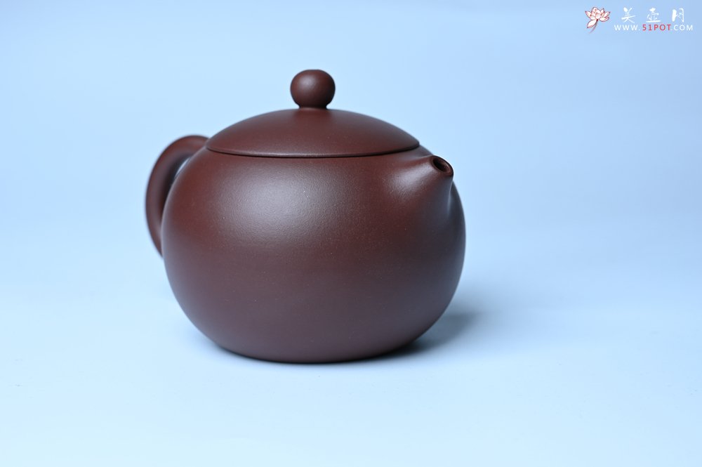 紫砂壶图片：美壶福利特惠 精工西施 泥料优秀 - 紫砂壶信息网