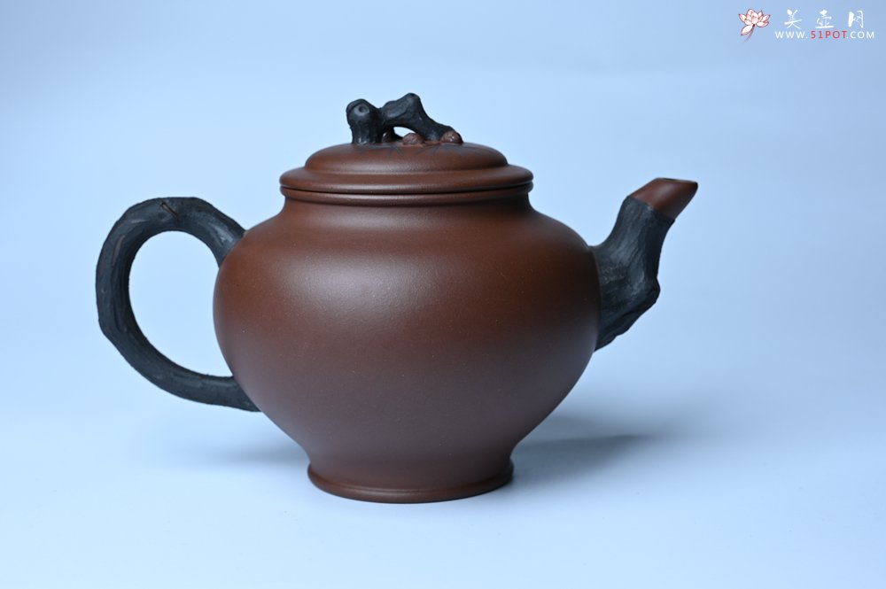 紫砂壶图片：美壶特惠 精致报春系列之松报春壶 - 紫砂壶信息网