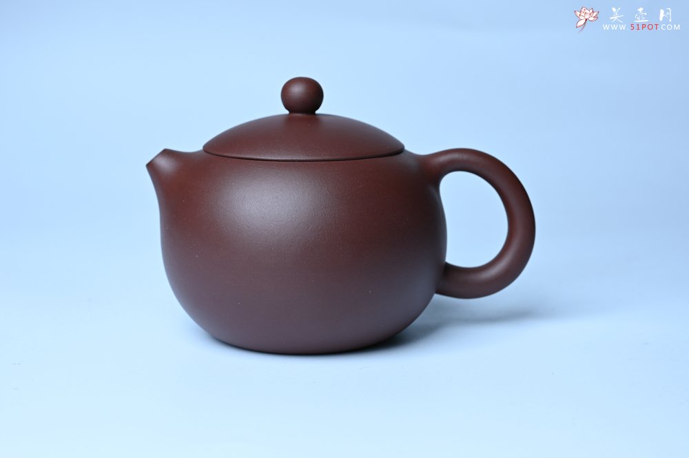 紫砂壶图片：美壶福利特惠 精工西施 泥料优秀 - 紫砂壶信息网