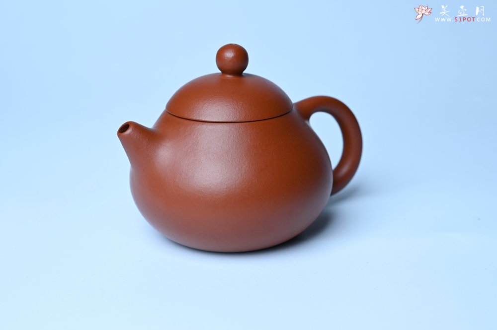 紫砂壶图片：美壶特惠定制最新实用力作 优质精致朱泥文旦壶 养后特润 - 紫砂壶信息网