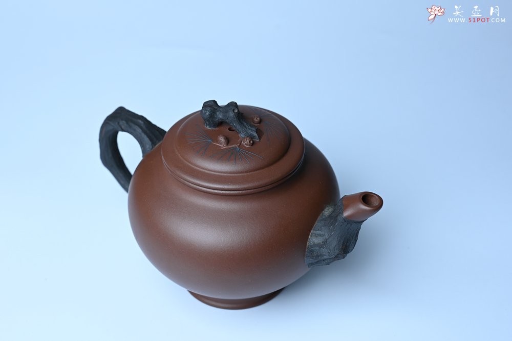 紫砂壶图片：美壶特惠 精致报春系列之松报春壶 - 紫砂壶信息网