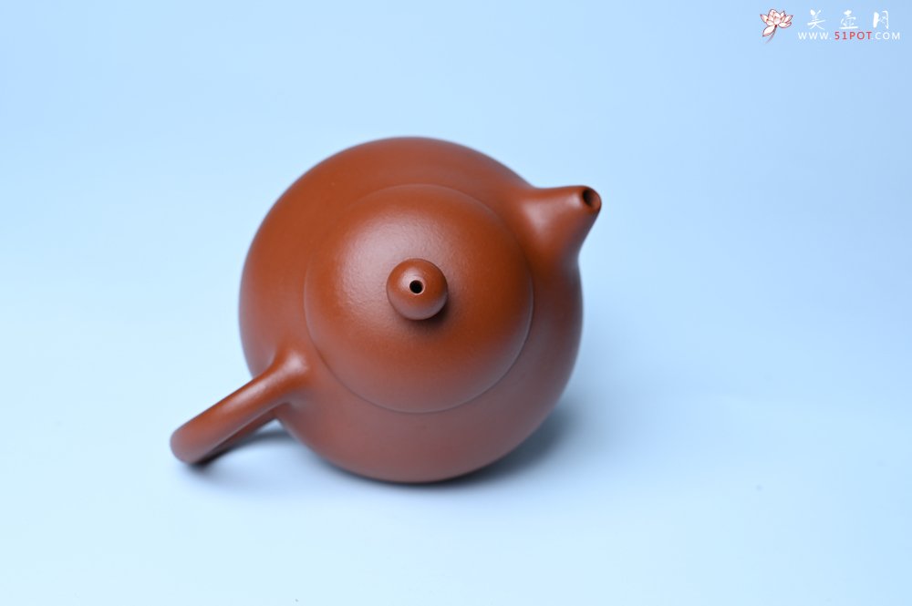 紫砂壶图片：美壶特惠定制最新实用力作 优质精致朱泥文旦壶 养后特润 - 紫砂壶信息网