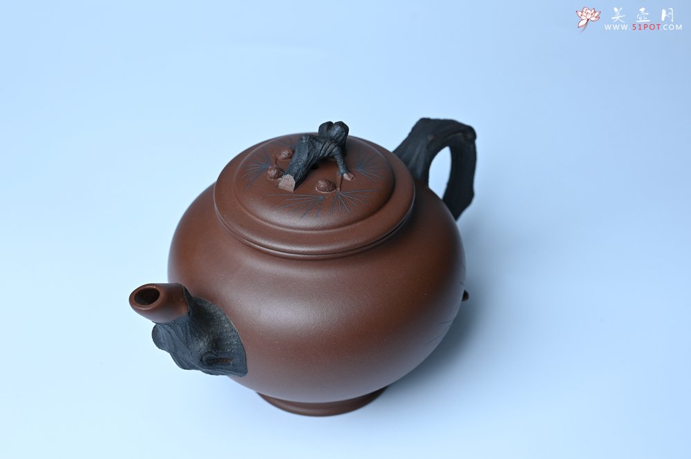 紫砂壶图片：美壶特惠 精致报春系列之松报春壶 - 紫砂壶信息网