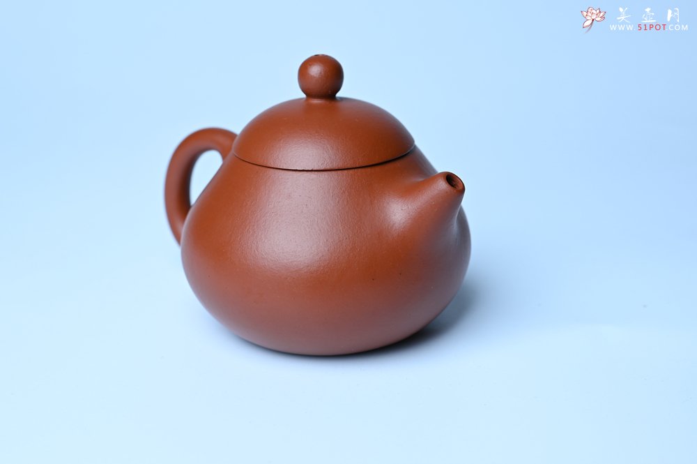 紫砂壶图片：美壶特惠定制最新实用力作 优质精致朱泥文旦壶 养后特润 - 紫砂壶信息网