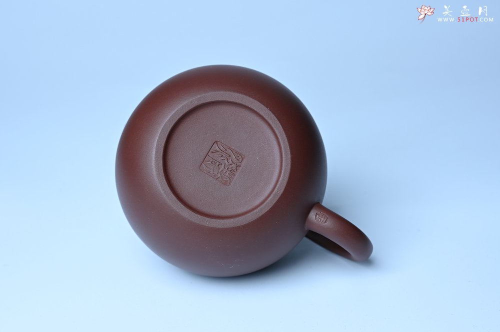 紫砂壶图片：美壶福利特惠 精工西施 泥料优秀 - 紫砂壶信息网