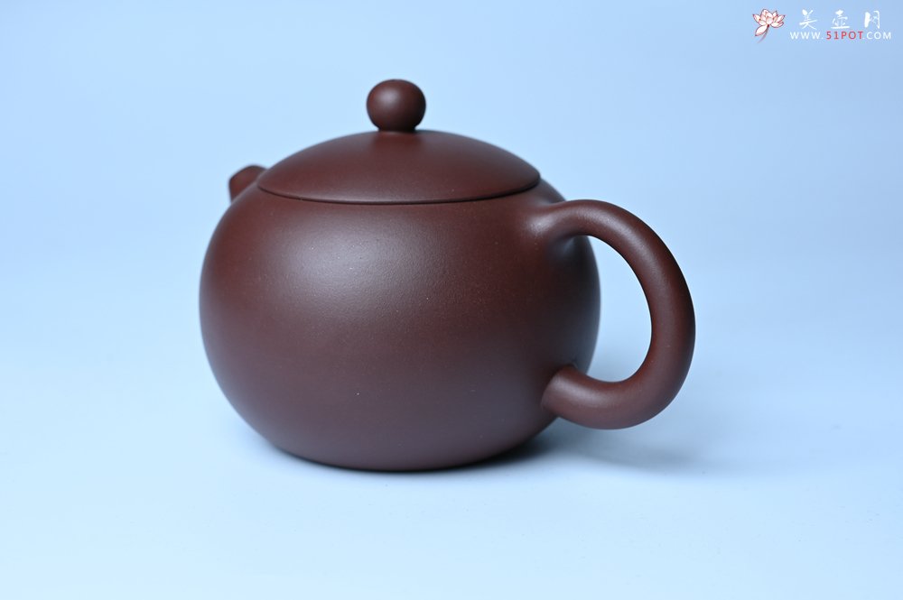 紫砂壶图片：美壶福利特惠 精工西施 泥料优秀 - 紫砂壶信息网