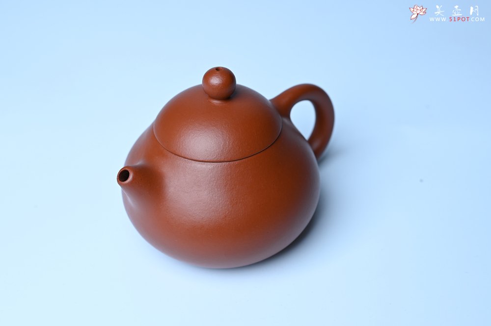 紫砂壶图片：美壶特惠定制最新实用力作 优质精致朱泥文旦壶 养后特润 - 紫砂壶信息网