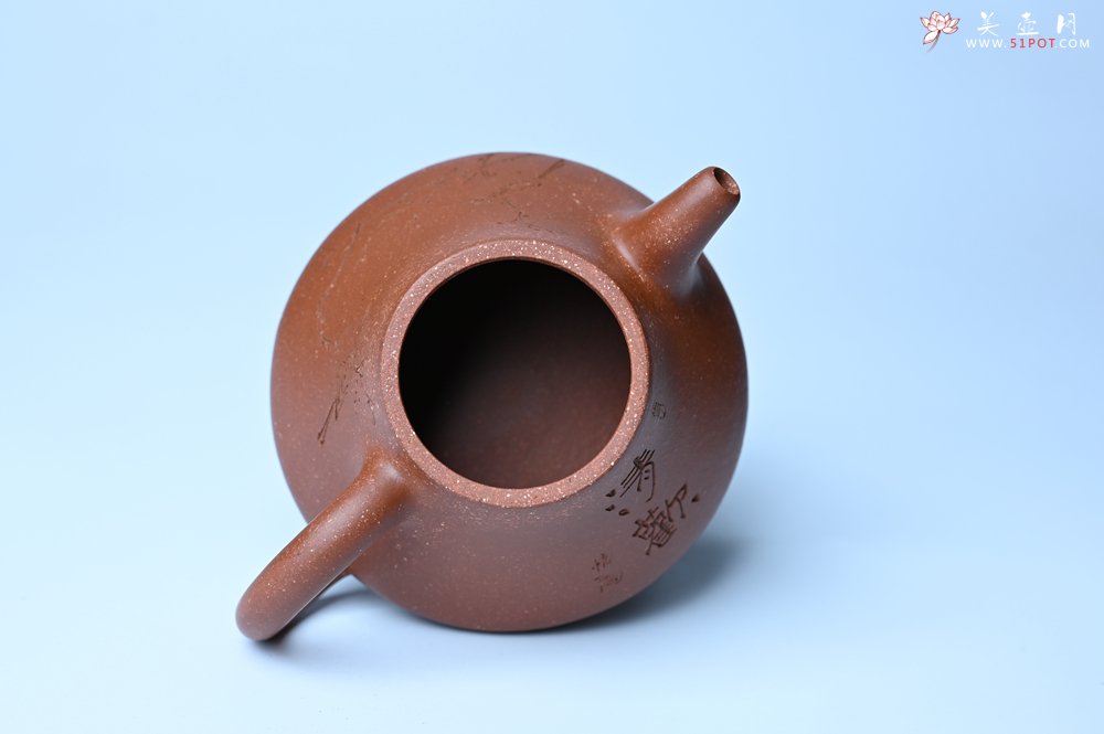 紫砂壶图片：美壶特惠 潜力股王老师 全手工拍打成型茄瓢壶 装饰枯枝鸟 特文气 - 紫砂壶信息网