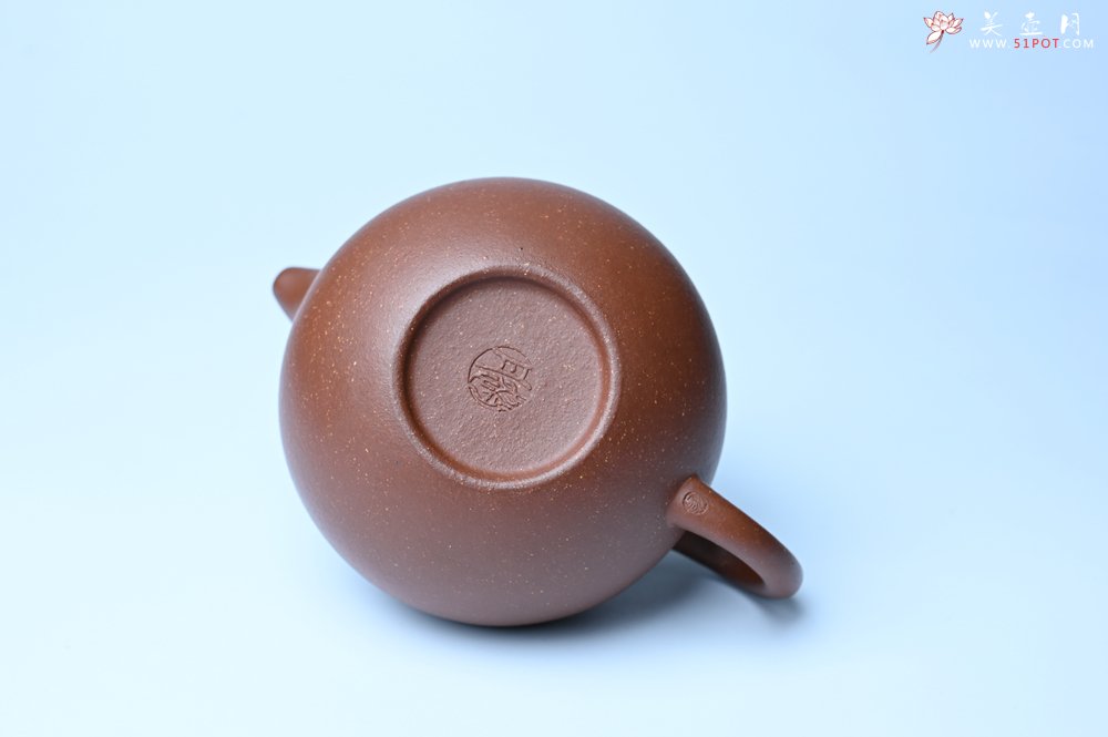 紫砂壶图片：美壶特惠 精致降坡泥大亨掇只壶 茶人醉爱 - 紫砂壶信息网