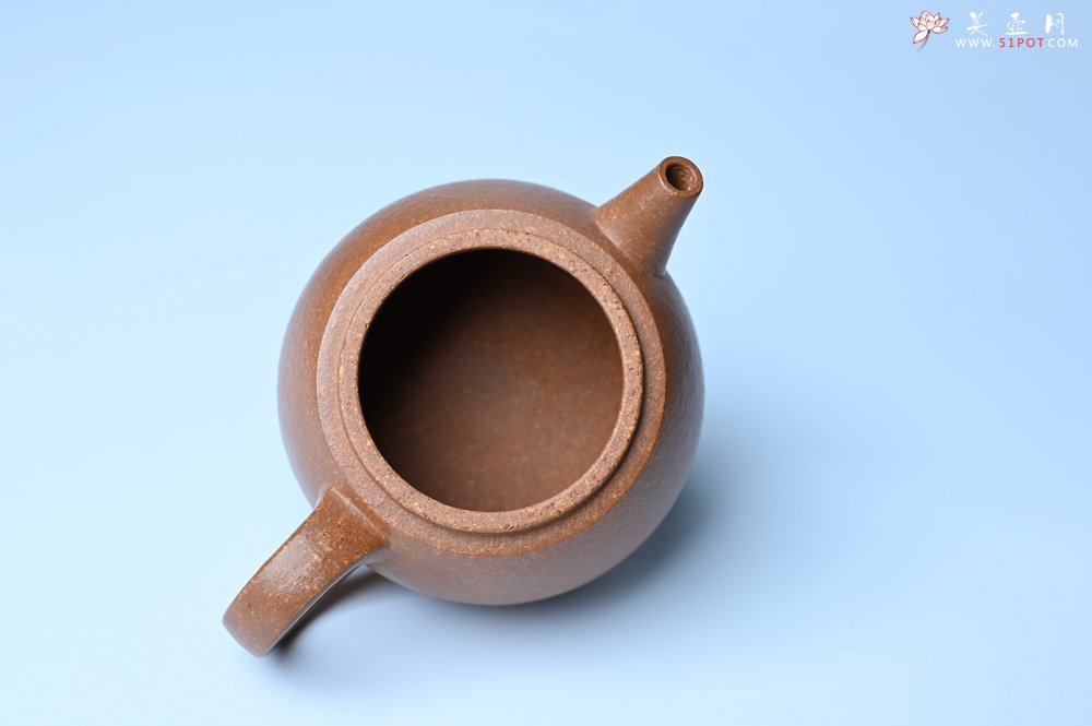 紫砂壶图片：美壶特惠 特好黄降坡泥巨轮珠紫砂壶 茶人醉爱 - 紫砂壶信息网