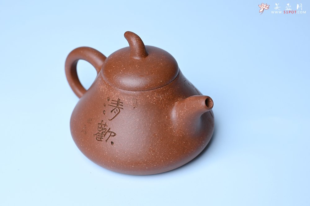 紫砂壶图片：美壶特惠 潜力股王老师 全手工拍打成型茄瓢壶 装饰枯枝鸟 特文气 - 紫砂壶信息网