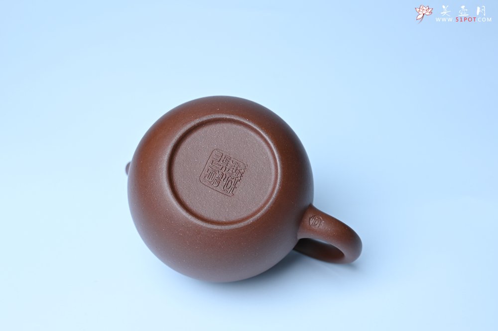 紫砂壶图片：美壶特惠 特好底槽青龙蛋壶 装饰兰草特文气 - 紫砂壶信息网