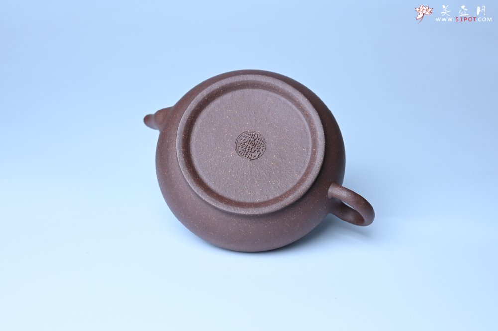 紫砂壶图片：美壶特惠 特好紫泥扁玉壶 装饰不老松 文气十足 - 紫砂壶信息网