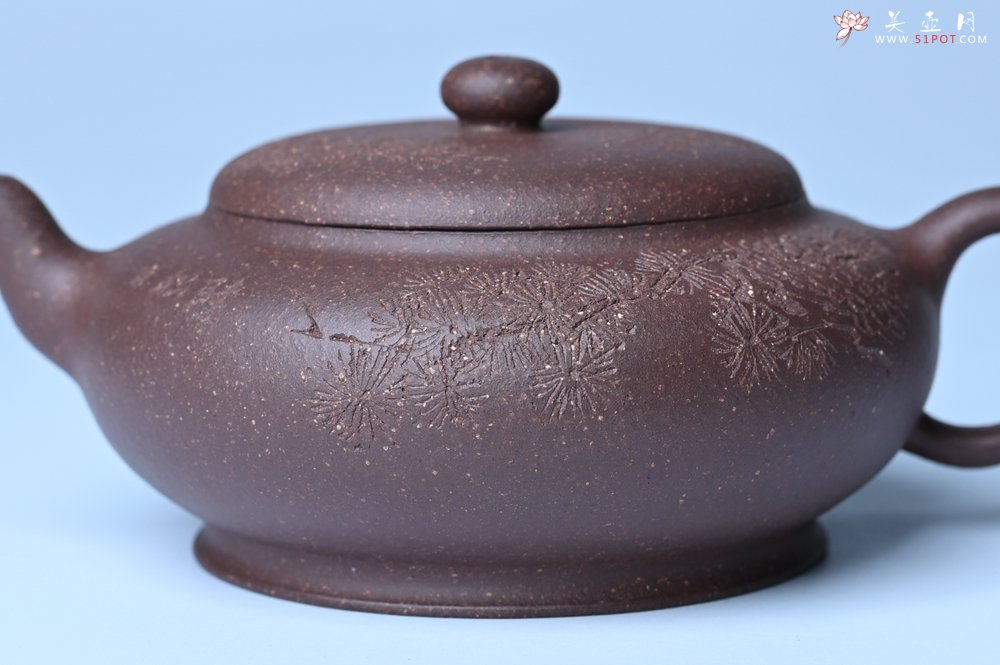 紫砂壶图片：美壶特惠 特好紫泥扁玉壶 装饰不老松 文气十足 - 紫砂壶信息网
