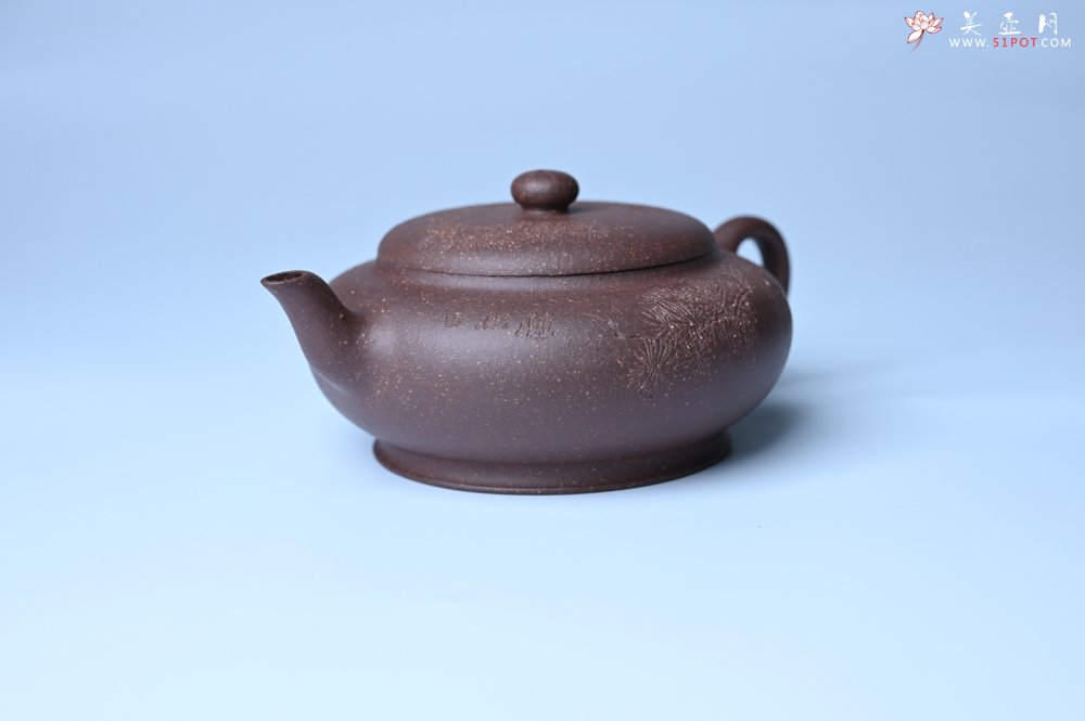 紫砂壶图片：美壶特惠 特好紫泥扁玉壶 装饰不老松 文气十足 - 紫砂壶信息网